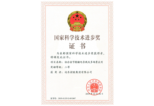 國家科學(xué)技術(shù)進(jìn)步獎(jiǎng)二等獎(jiǎng)